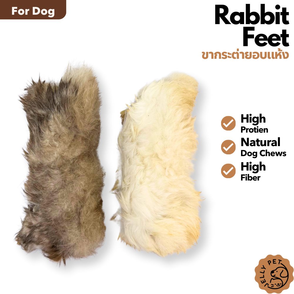 Jelly Pet Rabbit Feet ขากระต่ายอบแห้ง 1คู่ ขนมขัดฟัน ขนมสุนัขสุขภาพ ขนม ...