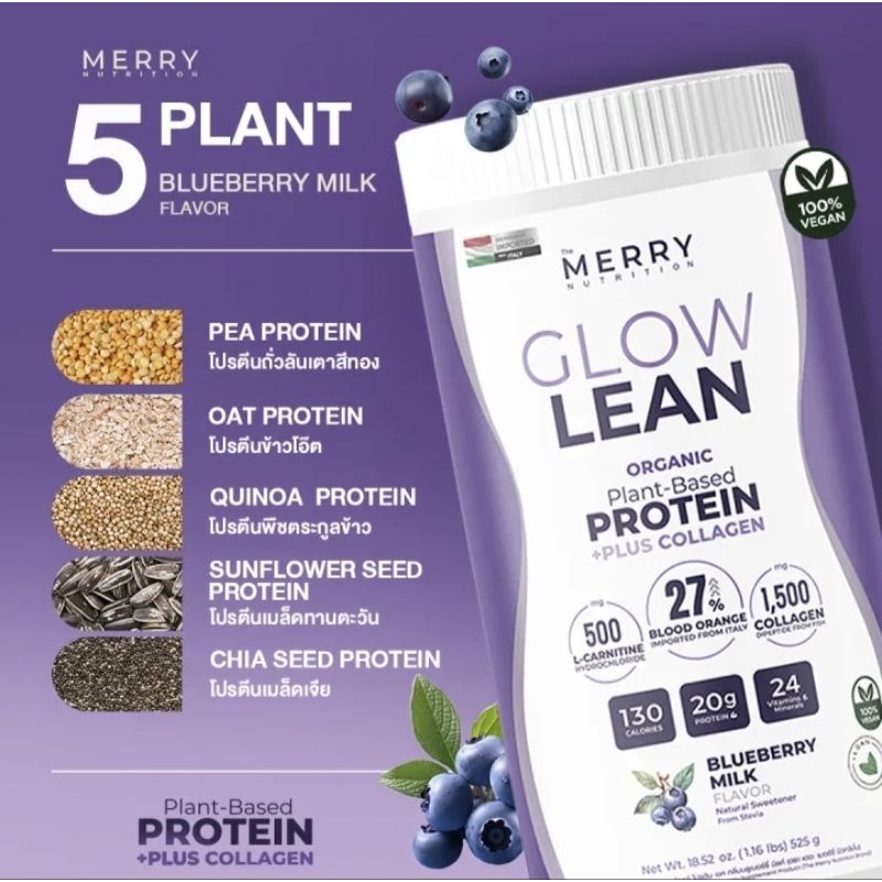 โปรตีน เชค Merry Glow Lean Protein shake : Blueberry Milk Flavour 🫐 ...
