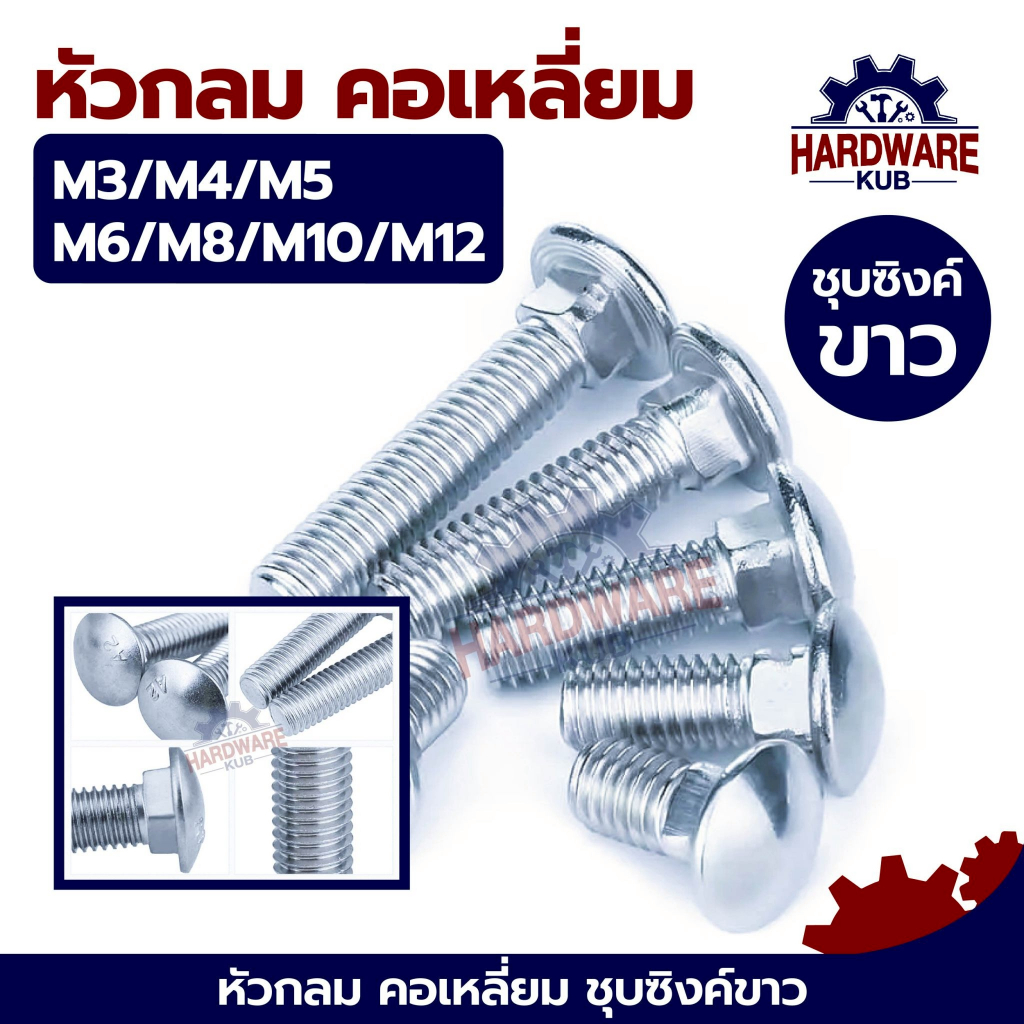 ชุด 100 ตัว น็อต หัวกลม คอเหลี่ยม ชุบขาว M8 M10 M12 สกรู น็อต ความยาว ...