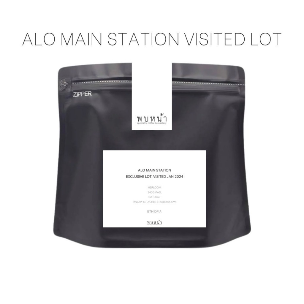 Pobnar เมล็ดกาแฟ Ethiopia Sidama Alo Main Station, Tamiru | Shopee Thailand
