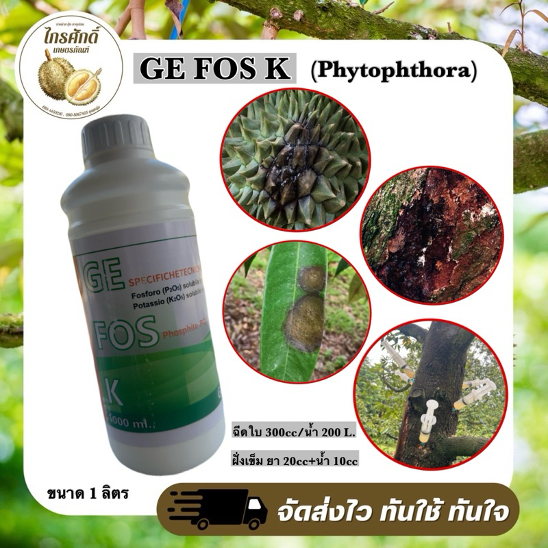G FOS K(รากเน่า โคนเน่า ฝั่งเข็ม) ขนาด 1 ลิตร | Shopee Thailand