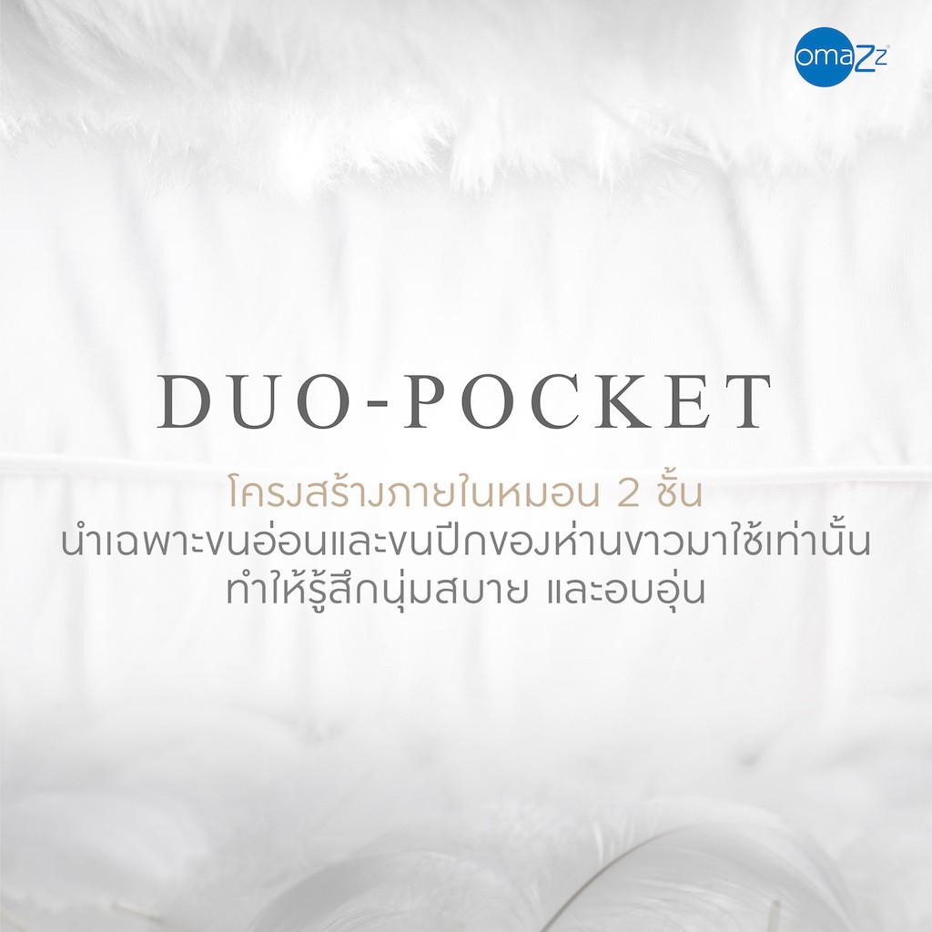 OMAZZ รุ่น หมอนหนุนขนห่านไซบีเรีย Firm ขนาด Standard 50x75 cm. เพื่อการรองรับสรีระอย่างนุ่มนวลและหลับสบายตลอดคืน