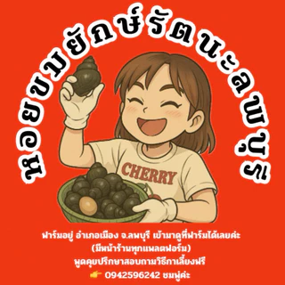 หอยขมยักษ์รัตนะ ลพบุรี พร้อมส่งค่ะ photo