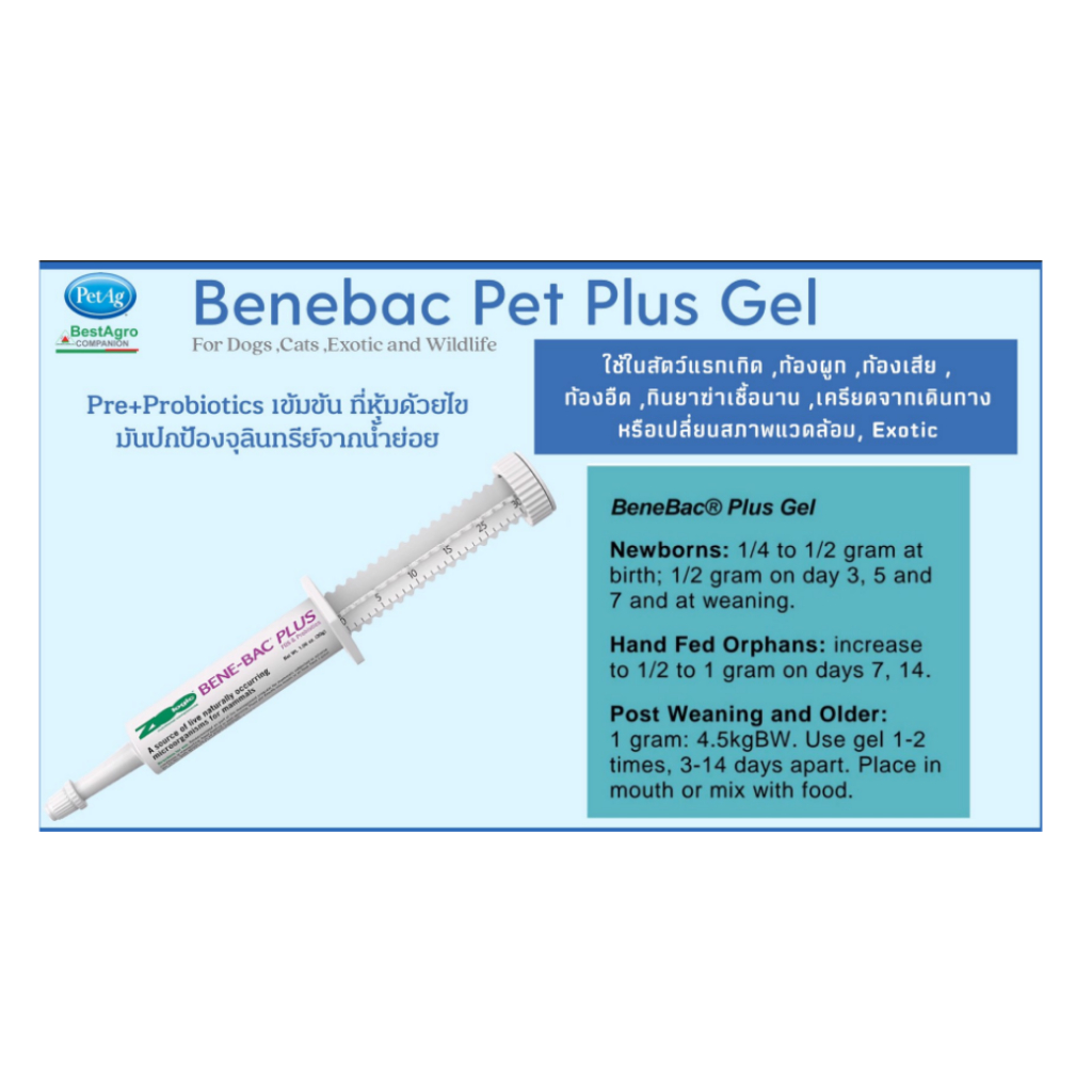 BENE-BAC PLUS GEL เจลอาหารเสริมปรับสมดุลทางเดินอาหาร ขนาด 30g | Shopee ...