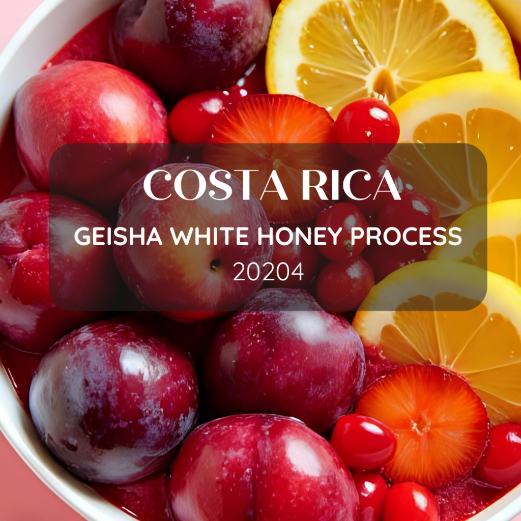 สารเมล็ดกาแฟ Costa Rica Geisha White Honey Process | Shopee Thailand