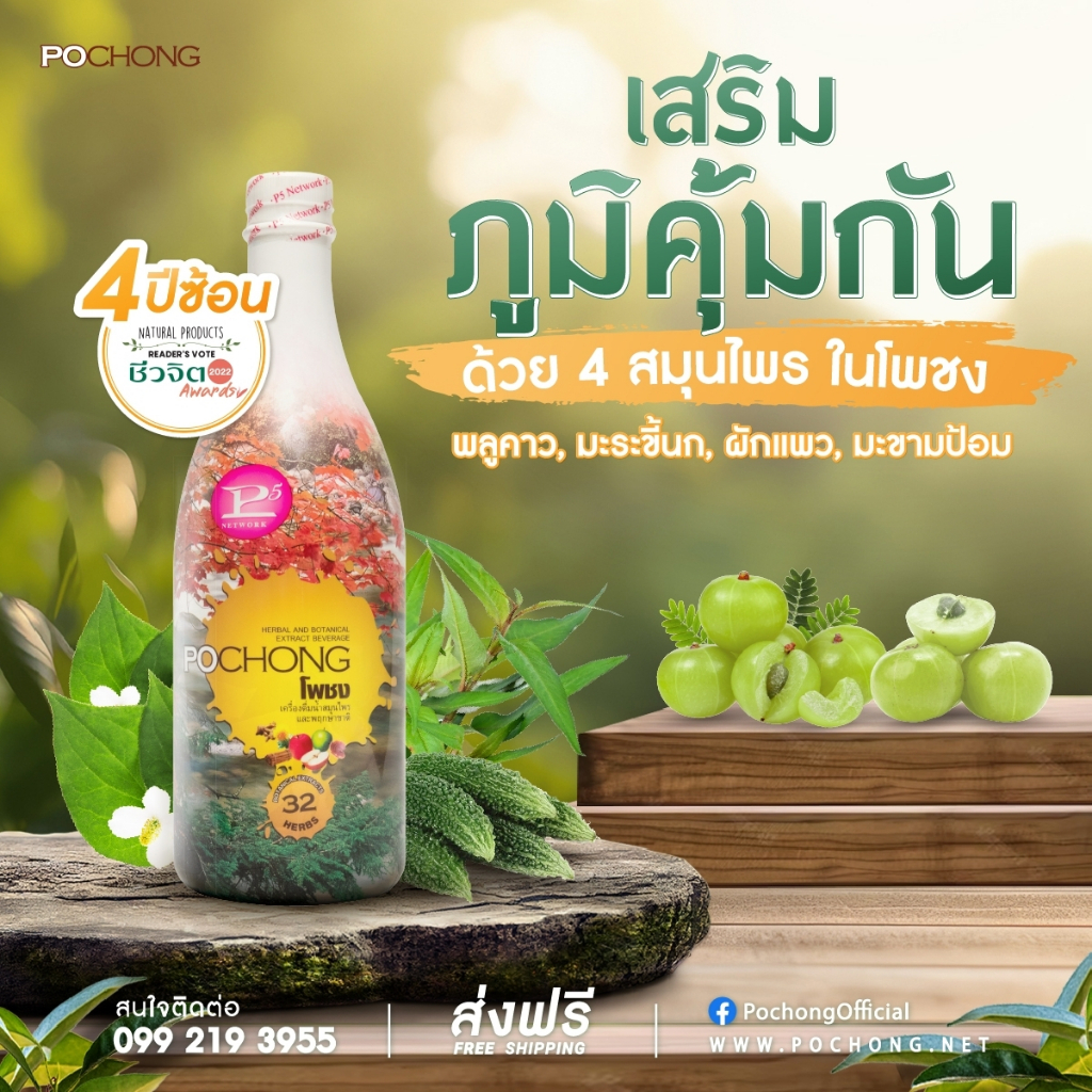 น้ำสมุนไพรโพชง พลัส Pochong Plus 1 ขวดใหญ่ เครื่องดื่มบำรุงสุขภาพ บำรุง ...