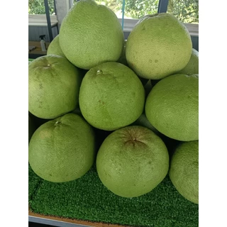 ส้มโอขาวแตงกวาชัยนาทแท้ กล่อง7กิโลมี 6ลูก(เกรดA) photo