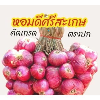 [ส่งฟรี] #1กิโล💥| ใหม่หอมแดง ศรีสะเกษแท้ ตรงปก หอมแดงไทย มัดจุก 500 กรัม คุณภาพดี เนื้อแน่น หัวสวย photo