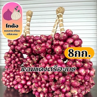 หอมแดงศรีสะเกษ กำแต่งตอก 8กก. (ราคาส่ง) photo