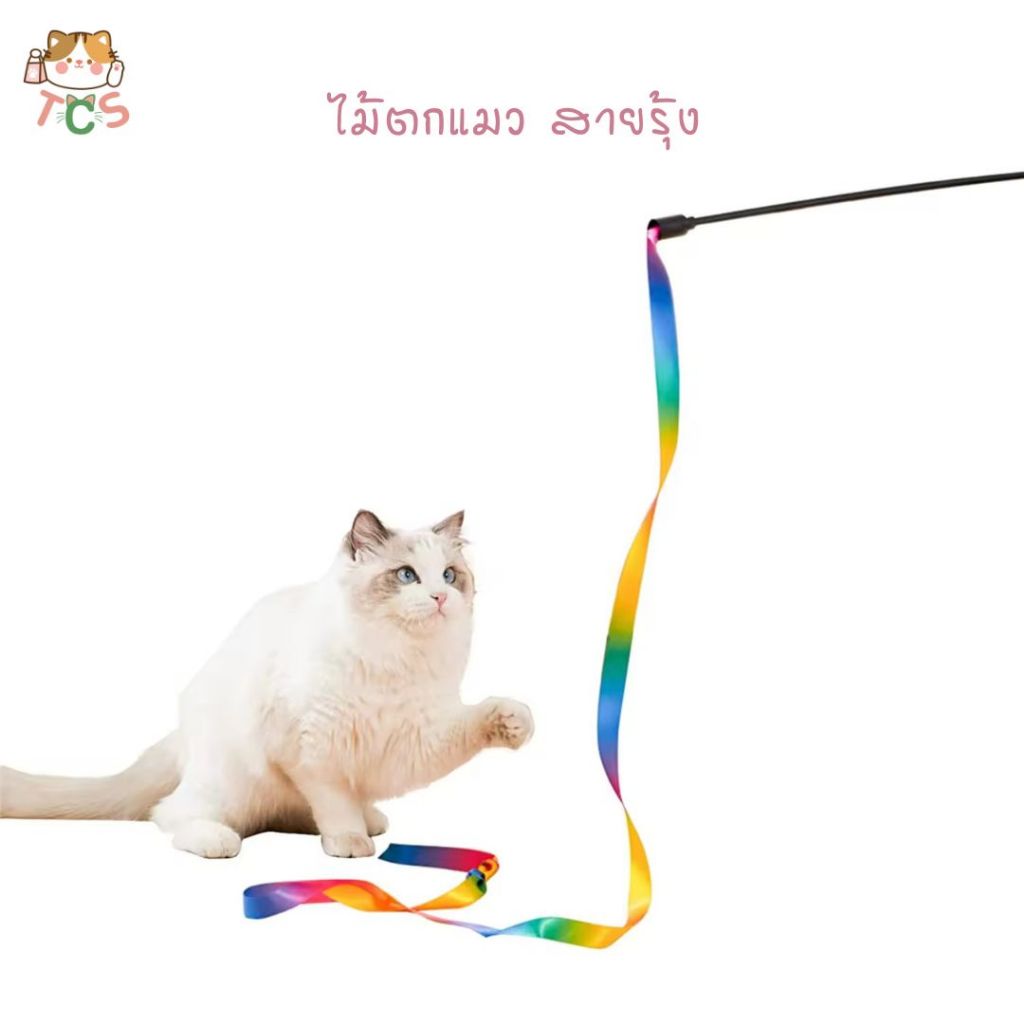 TCS ไม้ตกแมว สายรุ้ง ไม้ล่อแมว