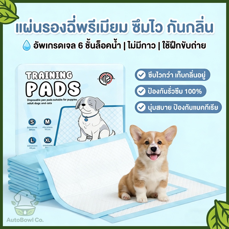 แผ่นรองฉี่ MZ สำหรับสุนัข ช่วยฝึกขับถ่าย ซึมซับสูง ป้องกันแบคทีเรีย ลดกลิ่น มี 4 ขนาดให้เลือก
