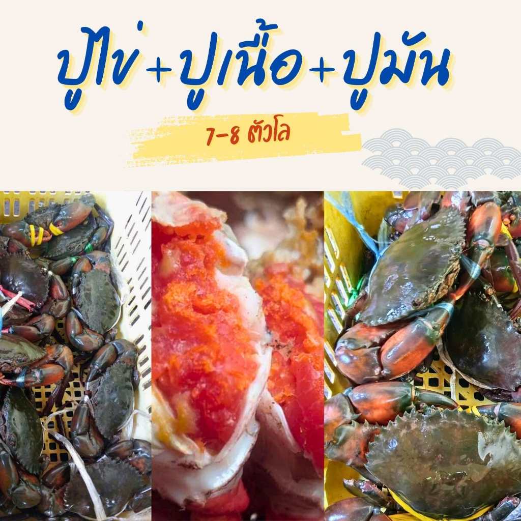 ปูไข่ ปูเนื้อ ปูมัน รวมเซต 1โล ปูธรรมชาติ | Shopee Thailand