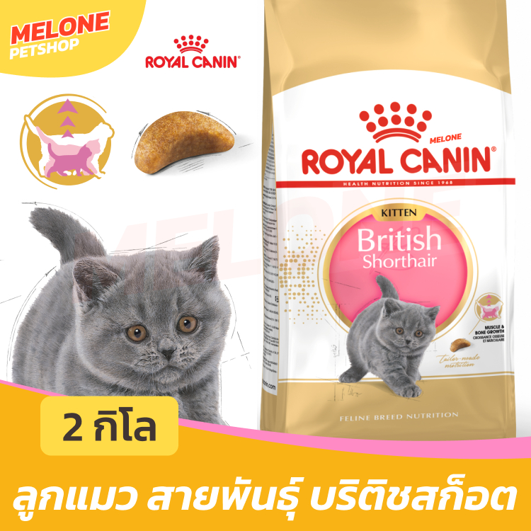 [ล็อตใหม่ ทุกสูตร] Royal Canin โรยัลคานิน อาหารแมว แมวโต Fit Indoor ลูก ...