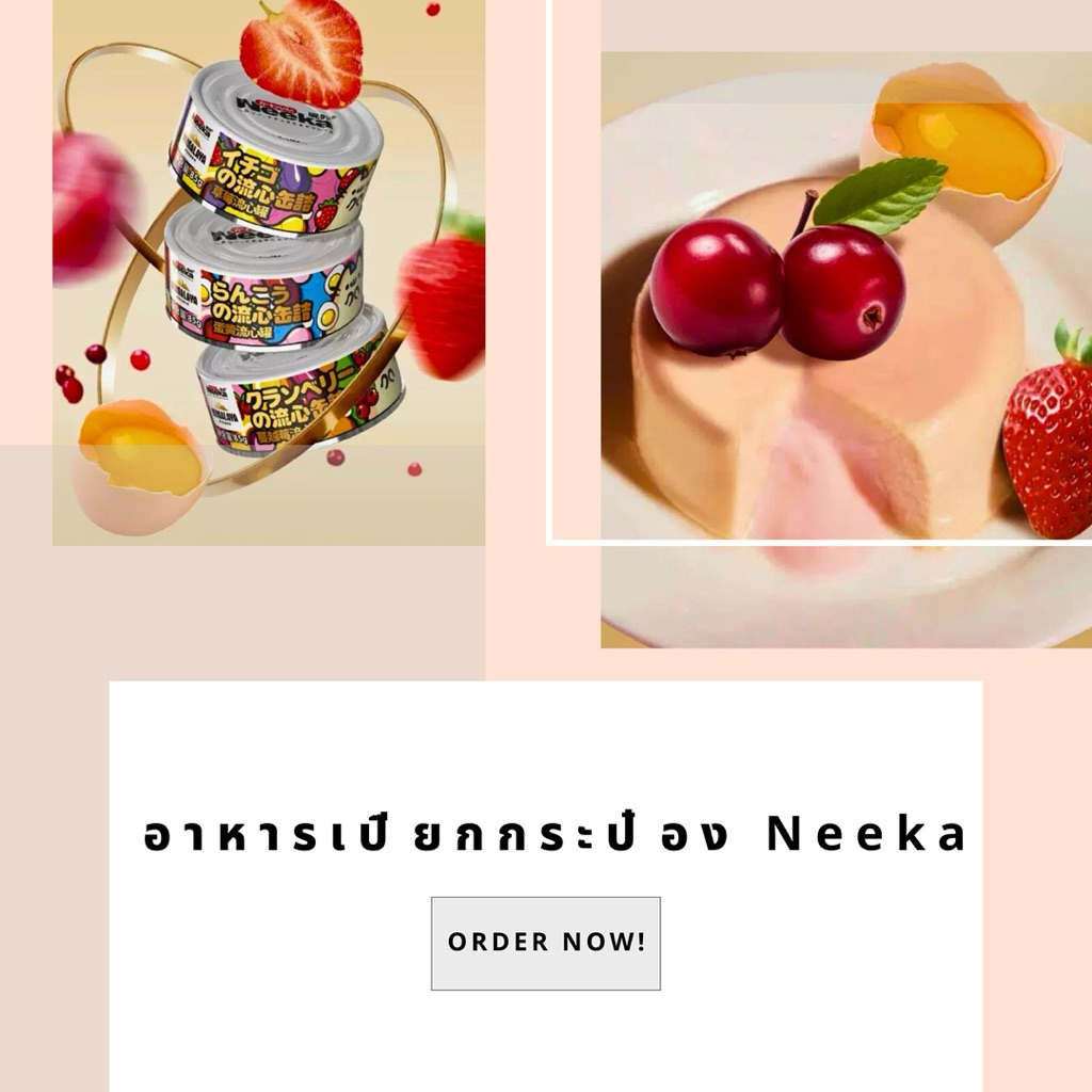 อาหารเปียกกระป๋อง Neeka | Shopee Thailand