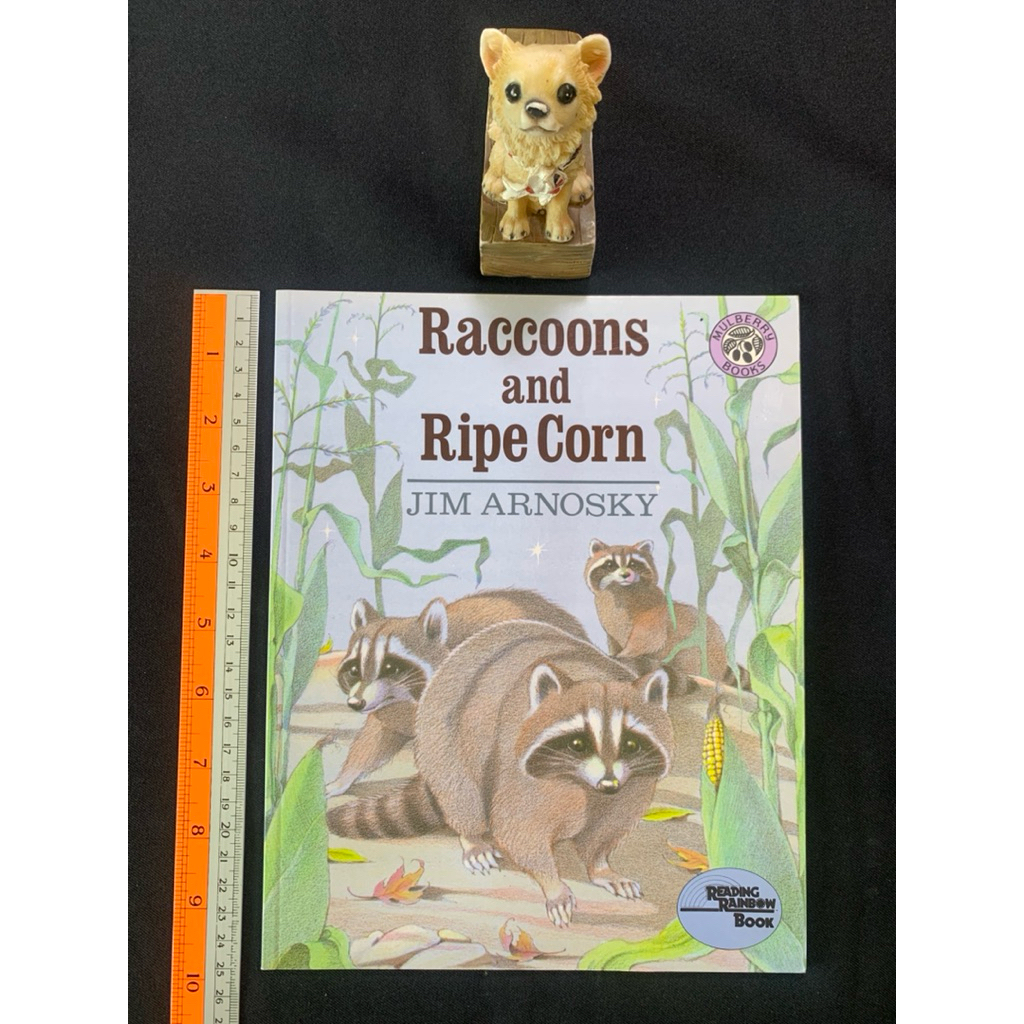 Raccoons and Ripe Corn By Jim Arnosky หนังสือภาษาอังกฤษปกอ่อน (มือสอง ...
