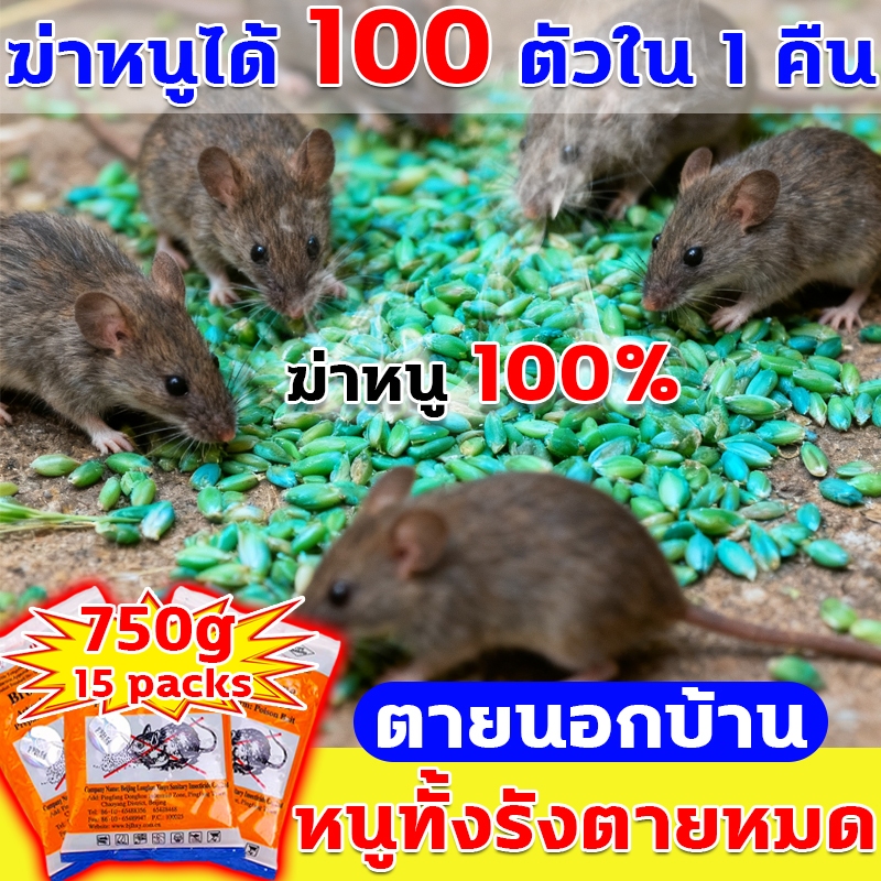 กําจัดหนู ตายแห้ง ไม่มีกลิ่น ยากำจัดหนู 1 ซองฆ่าหนูได้ถึง 1000 ตัว ยา ...