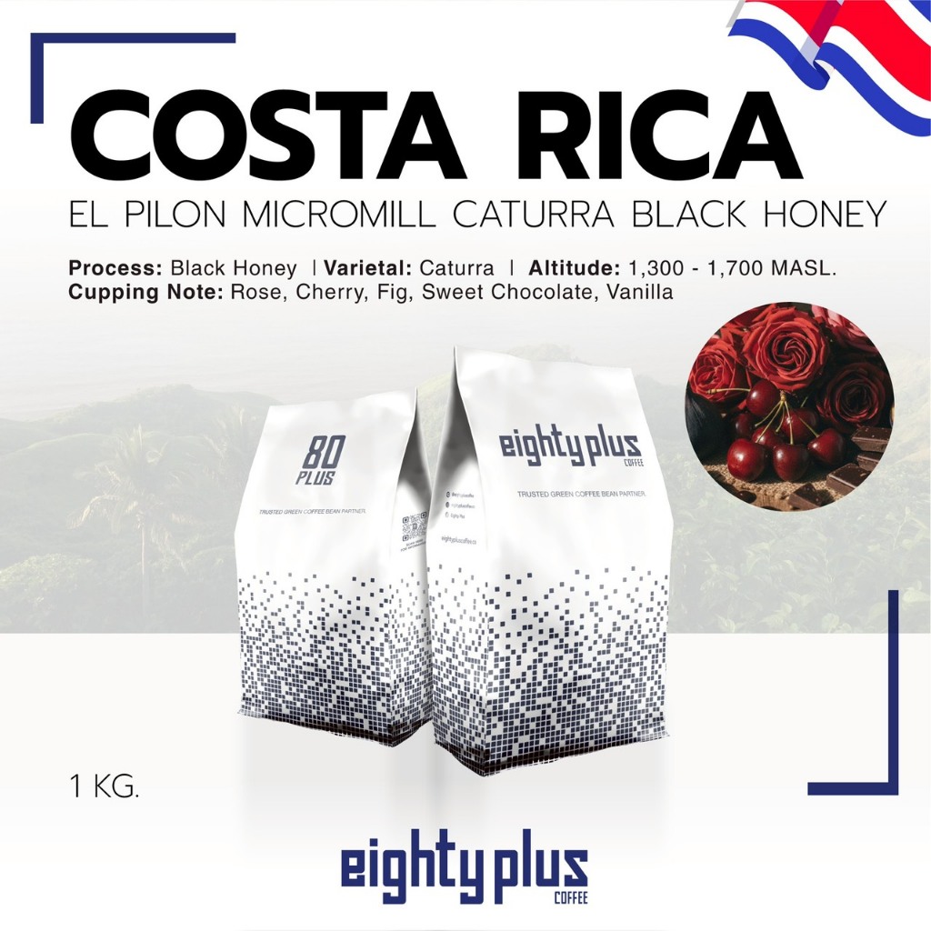 สารกาแฟคอสตาริก้า COSTA RICA EL PILON MICROMILL CATURRA BLACK HONEY I ...