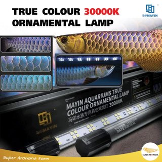 [แท้100%] MAYIN หลอดไฟแทนนิ่ง ปลามังกร บลูเบส 30000K LED TRUE COLOUR ...