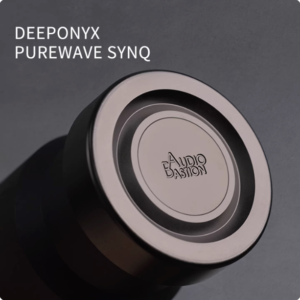 อุปกรณ์จัดการขยะไฟฟ้า | AudioBastion - DEEPONYX PUREWAVE SYNQ | Black ...