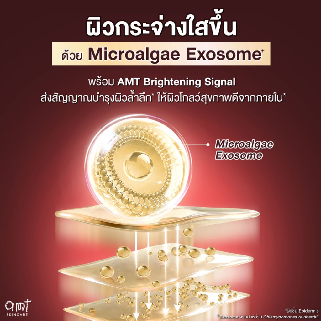 AMT Infinite Brightening Serum 25 mL - เซรั่มมอบผิวให้ดูโกลว์เล่นแสง ...