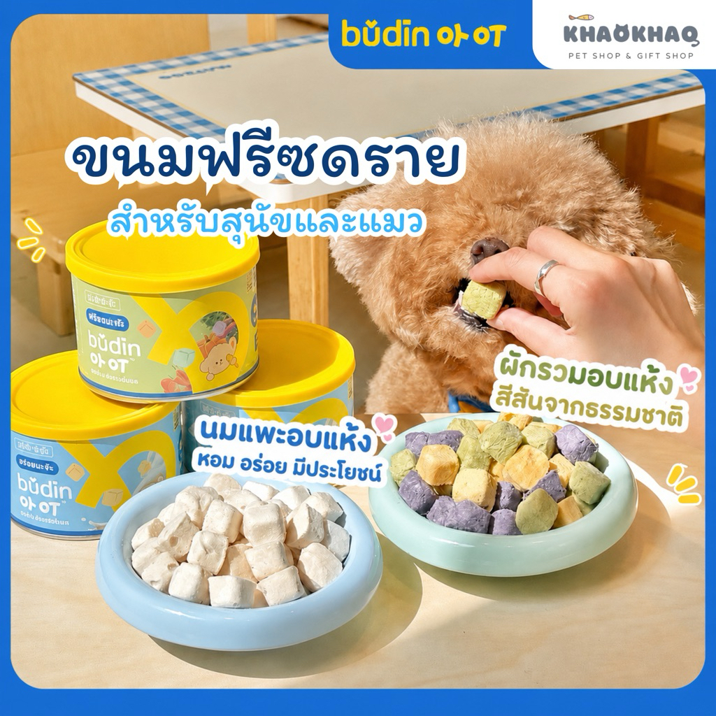 (พร้อมส่ง) BDin budin ขนมฟรีซดรายสำหรับสุนัขและแมว ฟรีซดรายผัก ฟรีซดราย ...