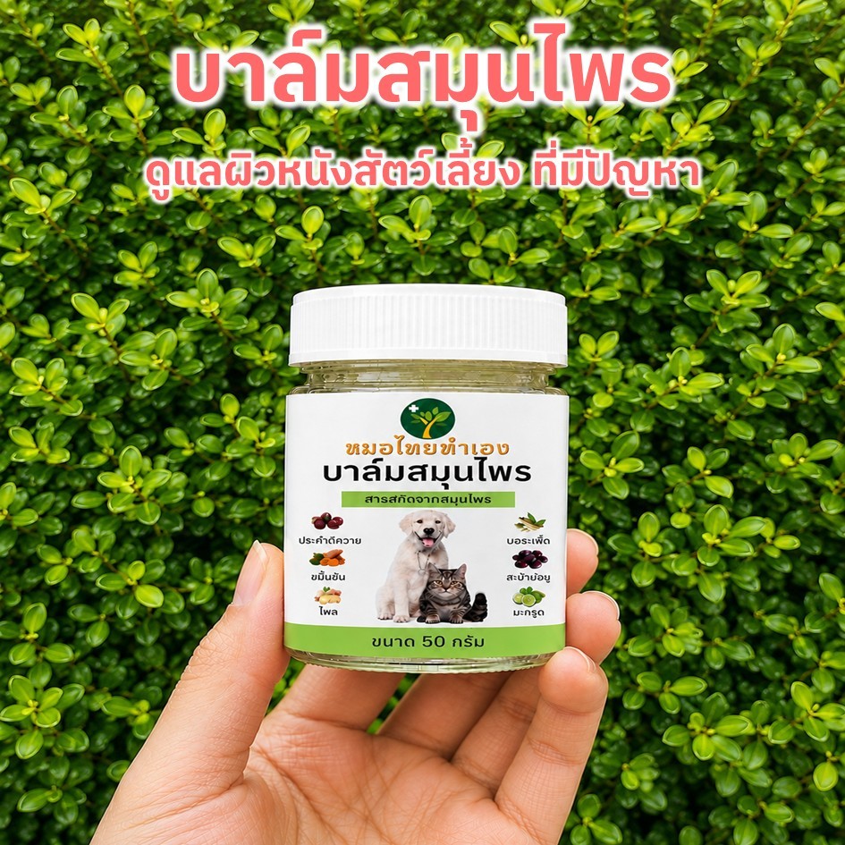ครีมบาล์มดูแลผิวหนังสัตว์เลี้ยง ที่มีปัญหา สูตรสมุนไพร สำหรับสุนัข แมว 20-50 กรัม หมอไทยทำเอง