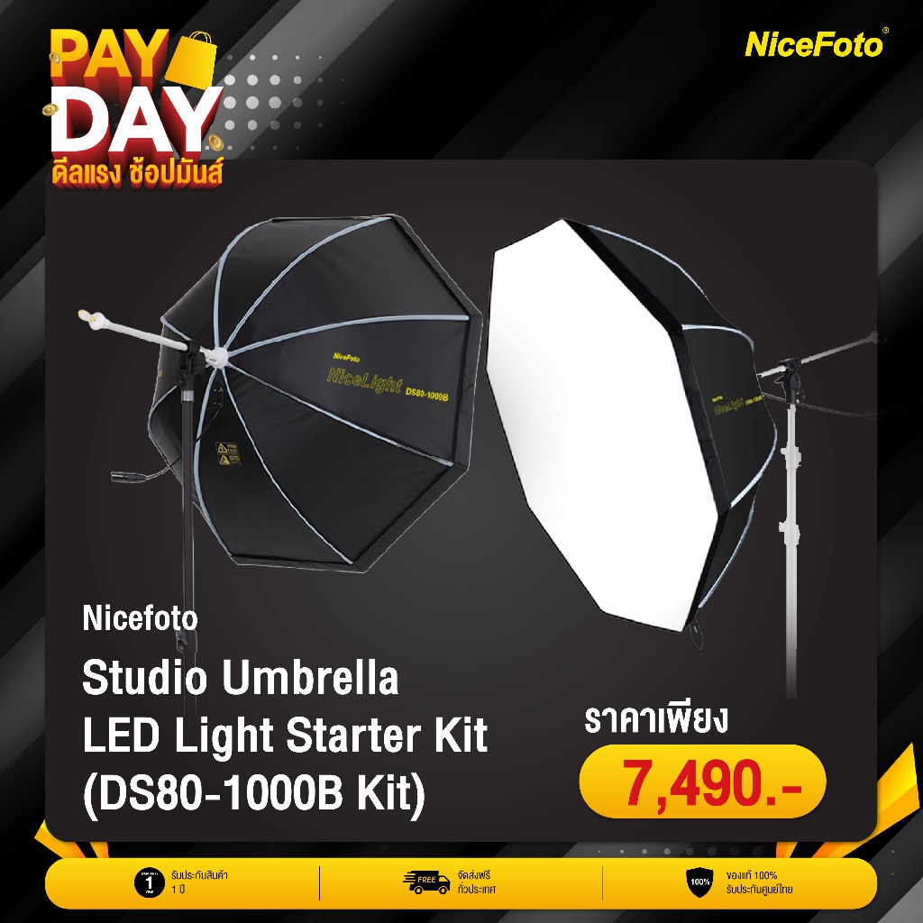 NiceFoto - Studio Umbrella LED Light Starter Kit (DS80-1000B Kit ...