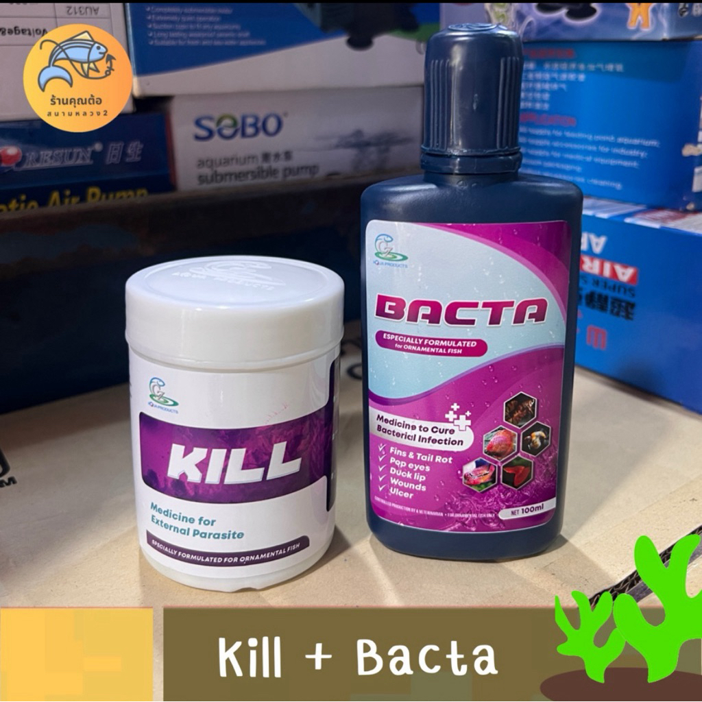 [จับคู่คุ้มกว่า] Bacta 100 ml + Kill 50g สำหรับปลาสวยงาม ปลาหมอสี ปลา ...