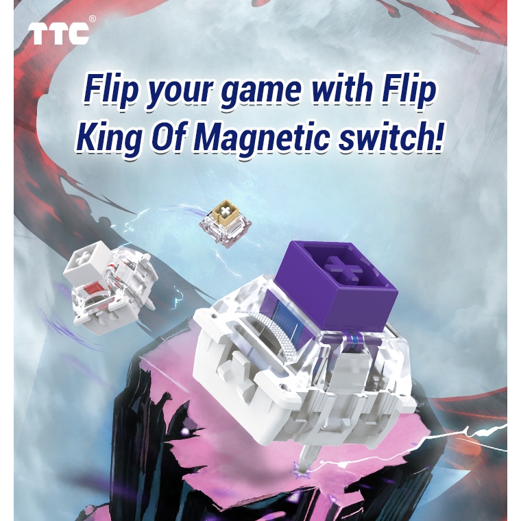 TTC Flip King of Magnetic Switch (10-11 ตัว) / Magnetic Switch