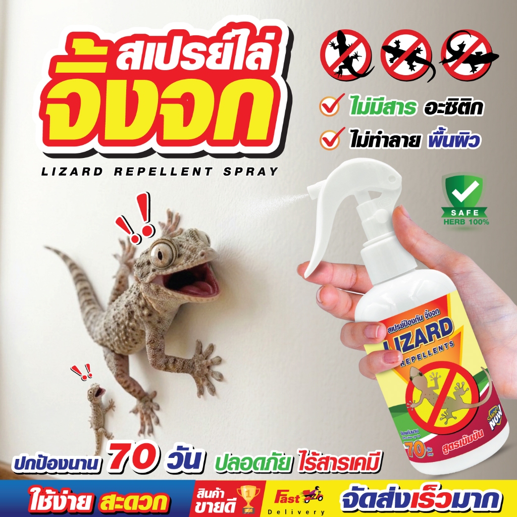 สินค้าจาก SHOP MONDAY