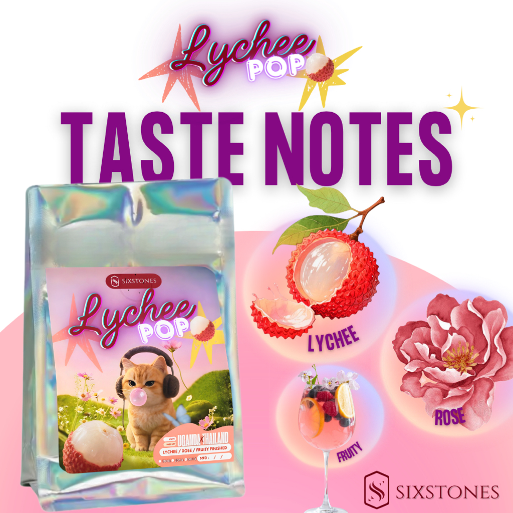 [NEW] Lychee pop เมล็ดกาแฟคั่วเบลนด์ Yeasted fermentation เมล็ดกาแฟคั่ว ...