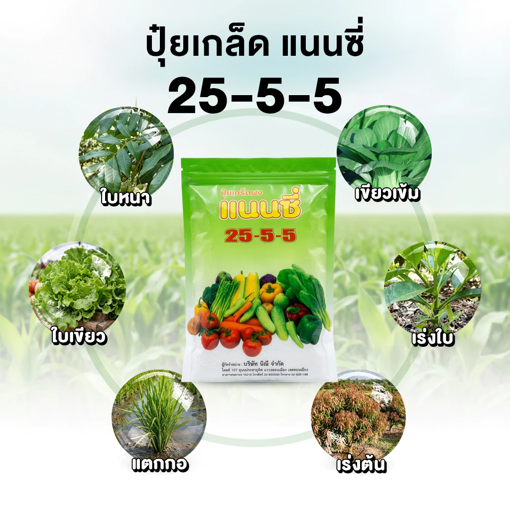 ปุ๋ยเกล็ด แนนชี สูตร 25-5-5 ขนาด1kg.ฉีดทางใบ แตกยอดไว เร่งใบ ฟื้นต้น ใบเขียว ใบใหญ่ ปุ๋ย ต้นสมบรูณ์ 2