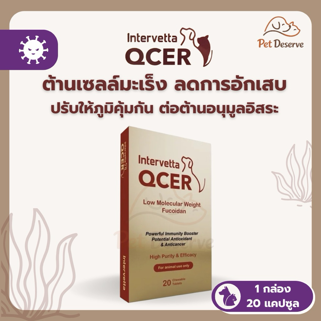 Intervetta QCER ผลิตภัณฑ์ต่อต้านมะเร็งและเสริมภูมิคุ้มกันให้สมดุล สุนัข ...