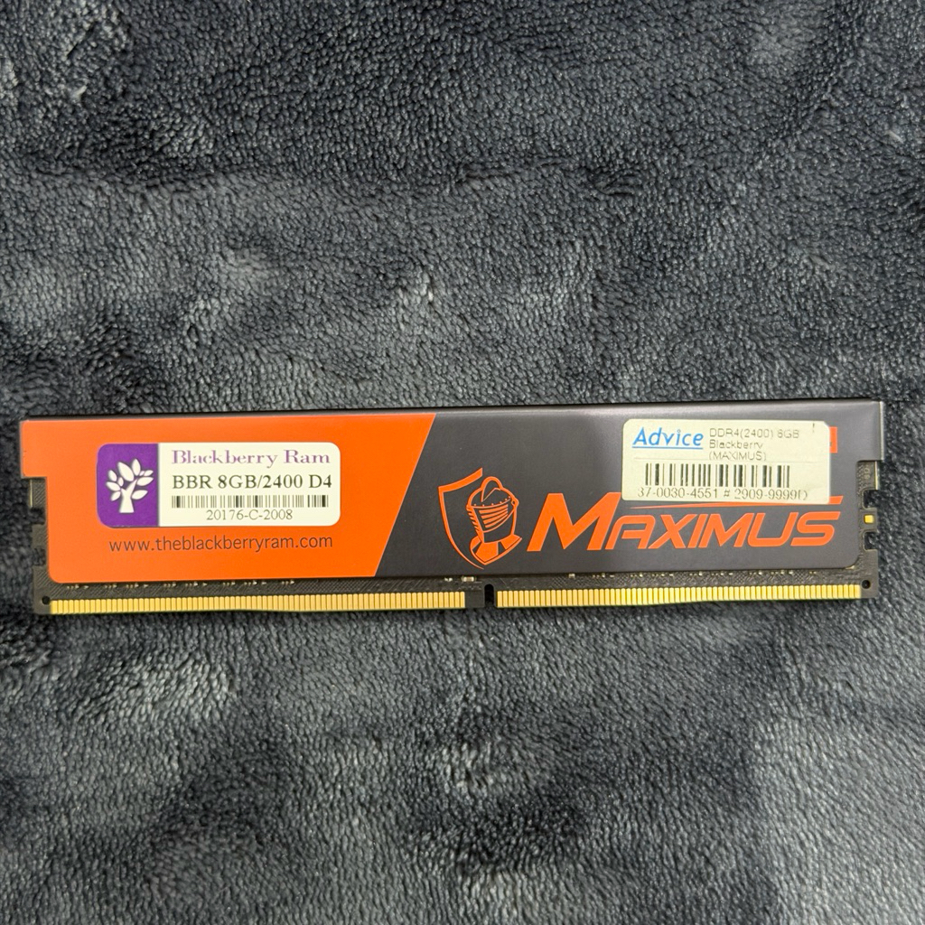 BLACKBERRY MAXIMUS RAM DDR4(2400) 8GB PC (แรมพีซี) Memory RAM (หน่วยความจำ) แรม