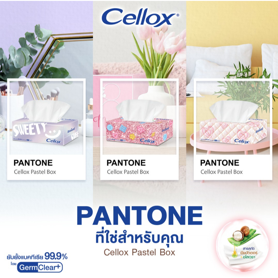 Cellox Pastel Soft Pack 110 แผ่น แพ็ค4ฟรี1 เซลล็อกซ์ ซอฟท์แพค พาสเทล ...