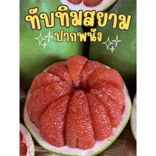 ทับทิมสยาม ปากพนัง หวานๆ ฉ่ำๆ มีหลายขนาดให้เลือก✔✔ photo