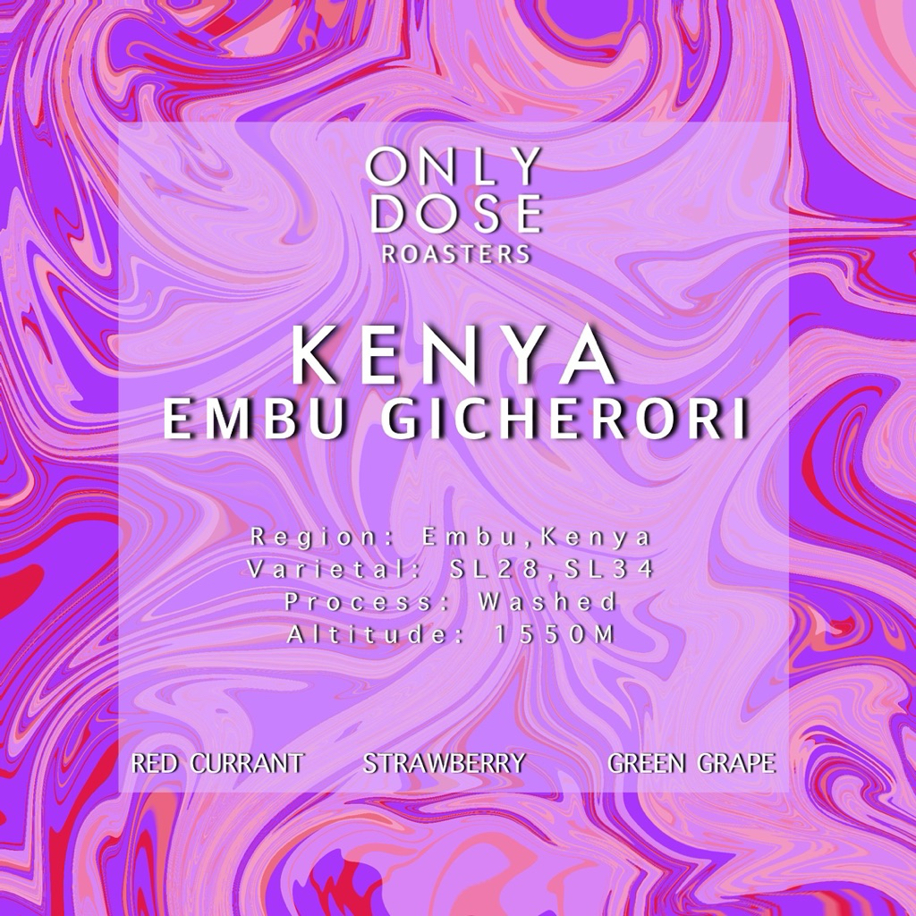 เมล็ดกาแฟเคนย่า KENYA EMBU GICHERORI WASHED คั่วอ่อน ( Light ) ขนาด 200 ...