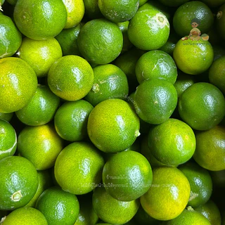 มะปี๊ด (ส้มจี๊ด) 1 kg  (calamansi) I ส่งตรงจากจันทบุรี photo