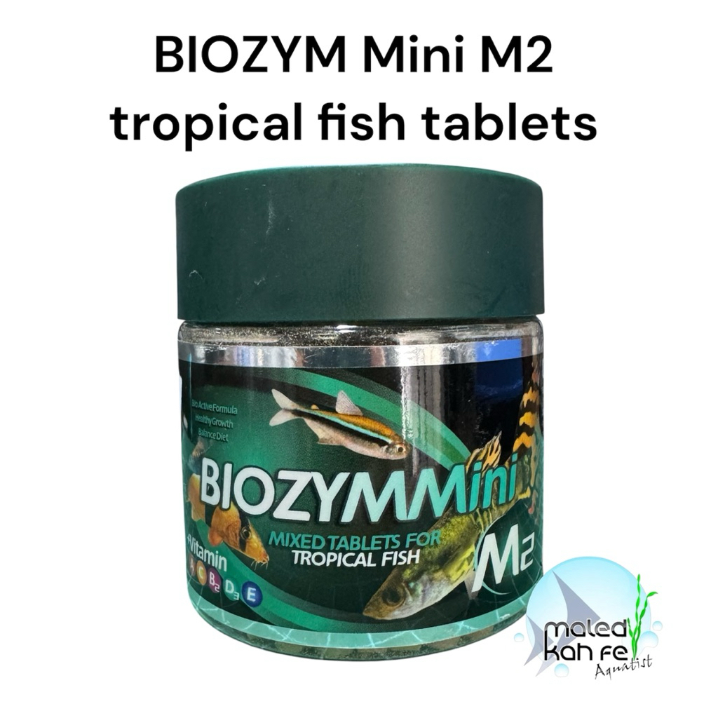 BIOZYM Mini M2 tropical fish tablets, high protein formula อาหารปลา ...