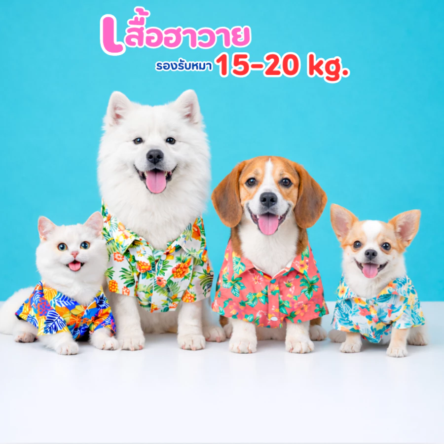 เสื้อหมา เสื้อแมว ลายฮาวาย 