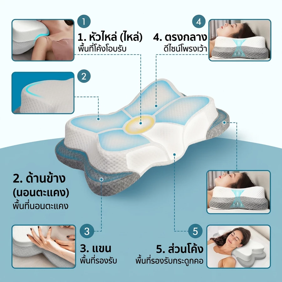 QM หมอนสุขภาพ ทรงผีเสื้อ รองรับสรีรวิทยา