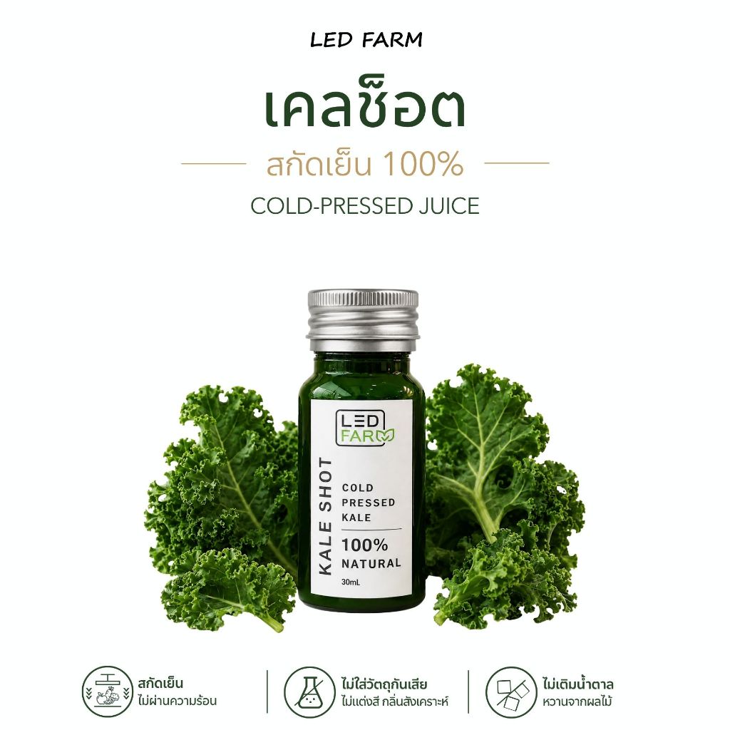 Kale Shot เคลช็อต น้ำผักเคลสกัดเย็น 30 มล. | Shopee Thailand