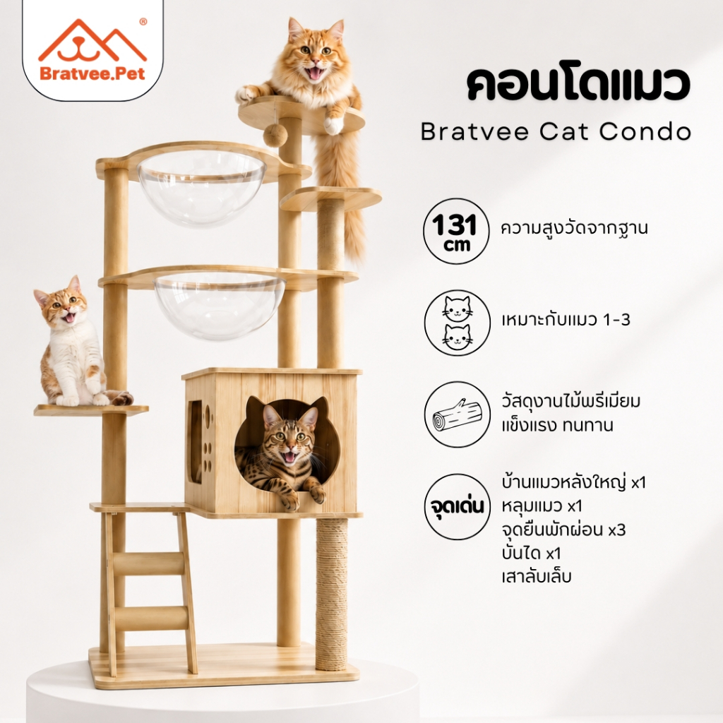 Bratvee คอนโดแมว คอนโดไม้ มีหลุมใส