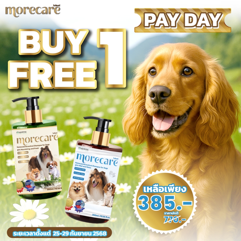 Morecare โมรีเเคร์ เเชมพูนาโนเวชสำอางสำหรับสุนัข สูตร Mild & Relax (SH ...