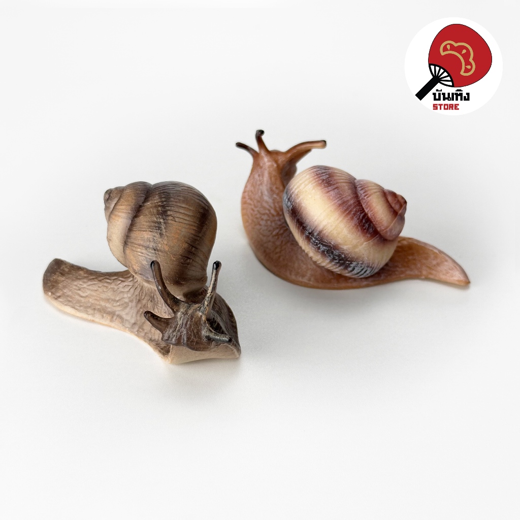 (พร้อมส่ง) Miniature / Prop ของจิ๋ว ของประกอบฉาก - Snail หอยทากดึ๊บๆ ...