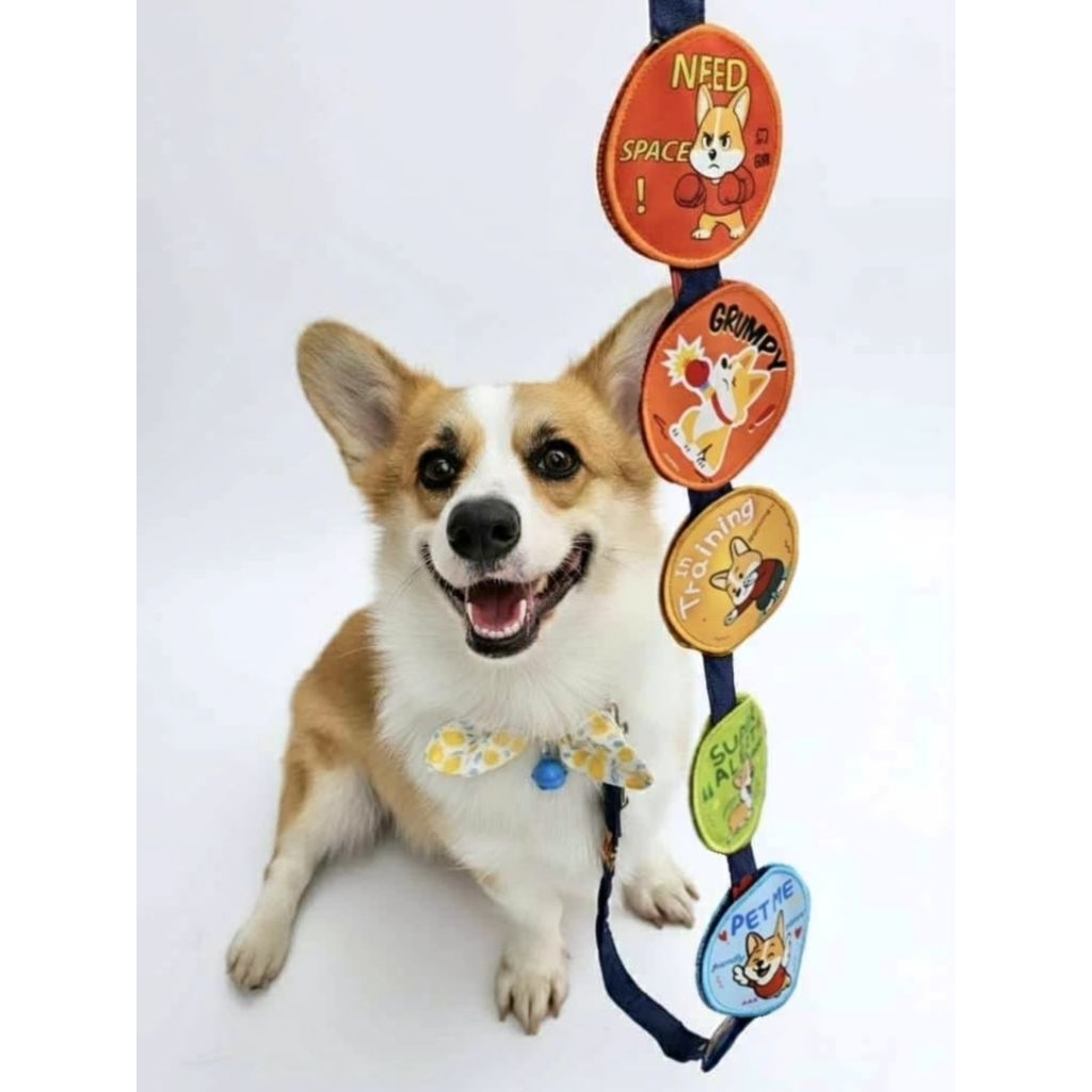ป้ายสายจูงสัตว์เลี้ยง | Velcro leash patch พร้อมส่ง | Shopee Thailand