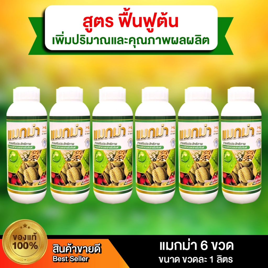 แมกม่า 6 ขวด ปริมาณ ขวดละ 1ลิตร | Shopee Thailand
