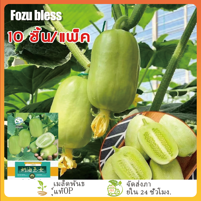 FOZU ซื้อ 5 แถม 5 ฟรี แตงกวาลูกดก 10 เมล็ด เมล็ดพันธุ์แตงกวาลูกดก งอก ...