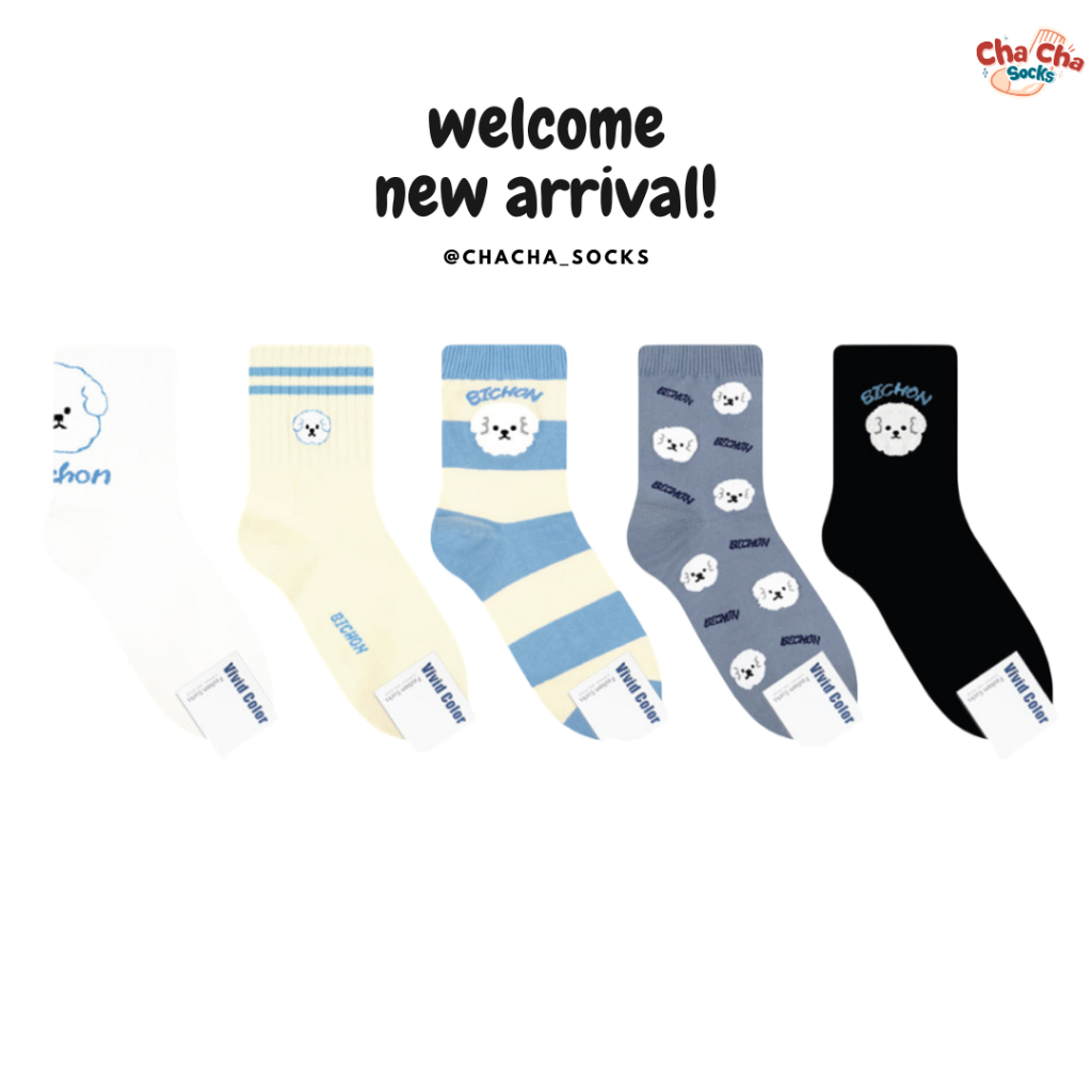 Chacha socks - ถุงเท้าข้อยาว Bichon Socks แบรนด์ Vivid Color ถุงเท้า ...
