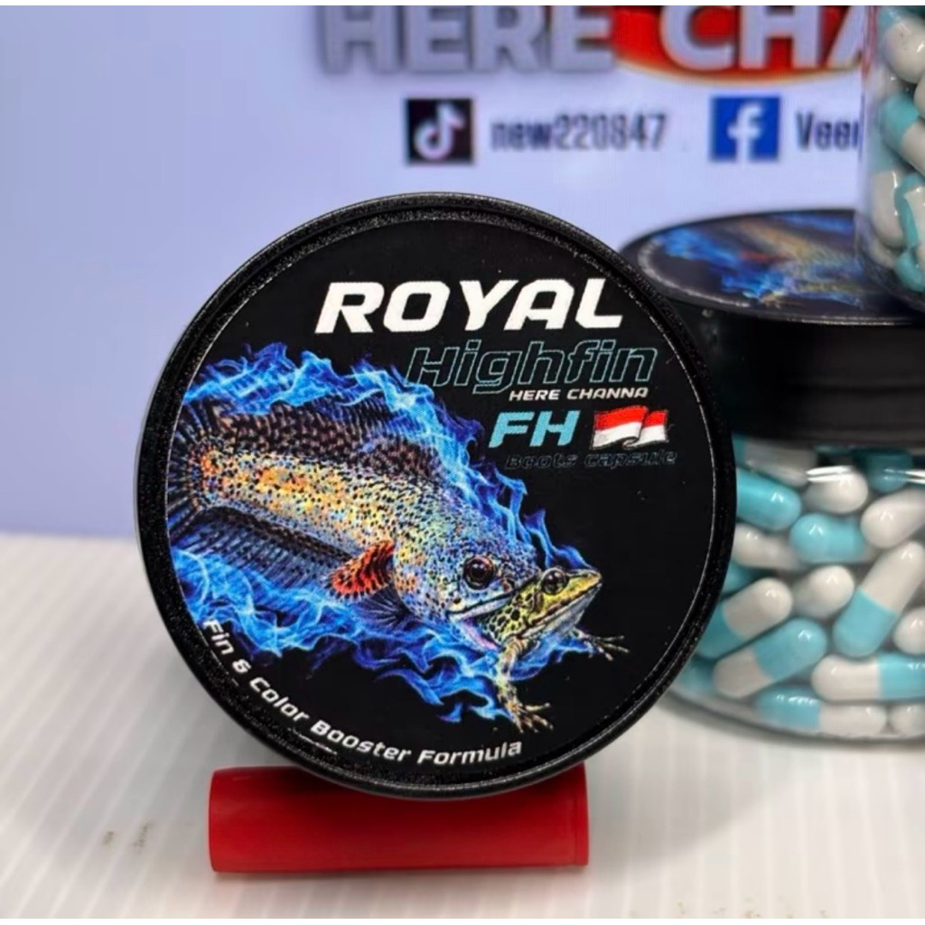 Royal Highfin Boots Capsule แคปซูลสายน้ำเย็น เน้นเร่งครีบและสีเป็นหลัก ...